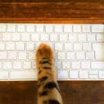 kyuka privacy policy min