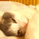 【伊藤銀次】懐かしの名曲・思い出の1曲を追憶