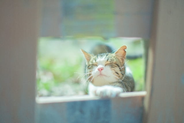 懐かしい情景が静かによみがえる、やさしい記憶のイメージ写真
