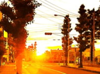 夕暮れの街角にオレンジ色の光が差し込み、電線と街路樹が静かに影を落とす風景｜懐かしい情景が静かによみがえる、やさしい記憶のイメージ写真